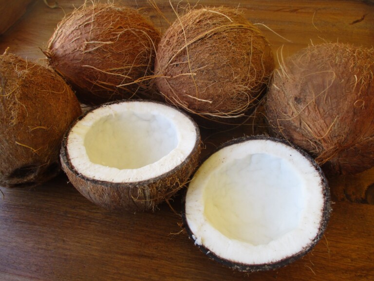 La Côte d’Ivoire adhère à  l’organisation des pays producteurs de noix de coco