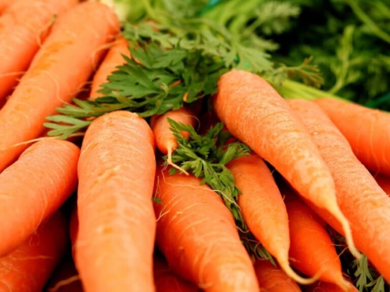 Cuisine : les 04 erreurs courantes commises avec les carottes à  éviter