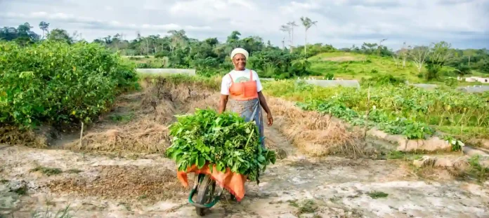 Production agricole plus verte en Afrique de l'ouest @ Agence FranÃ§aise de DÃ©veloppement