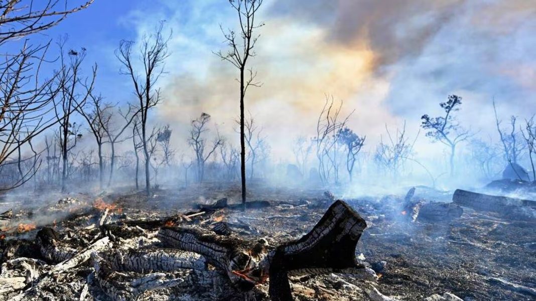 Incendies au BrÃ©sil