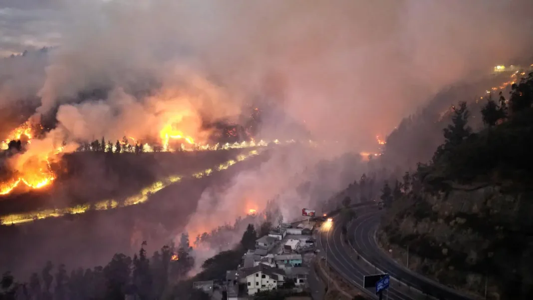 Une colline brÃ»le prÃ¨s de Quito, le 24 septembre 2024, en Ã‰quateur. @ Galo Paguay, AFP